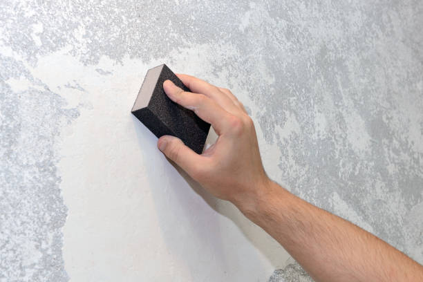 Reliable Owings, MD Mold Removal Solutions