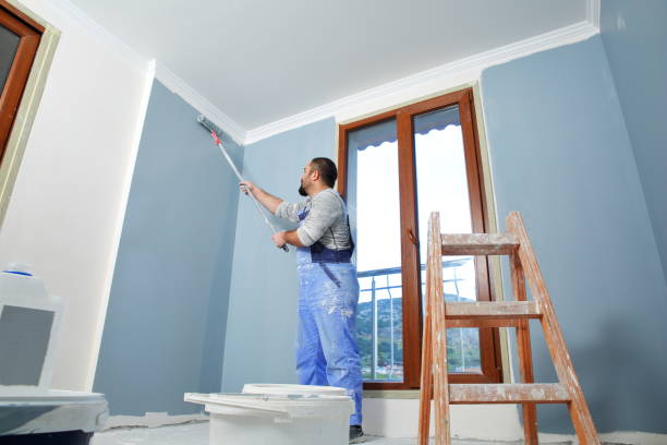 Best Mold Prevention Services  in Owings, MD