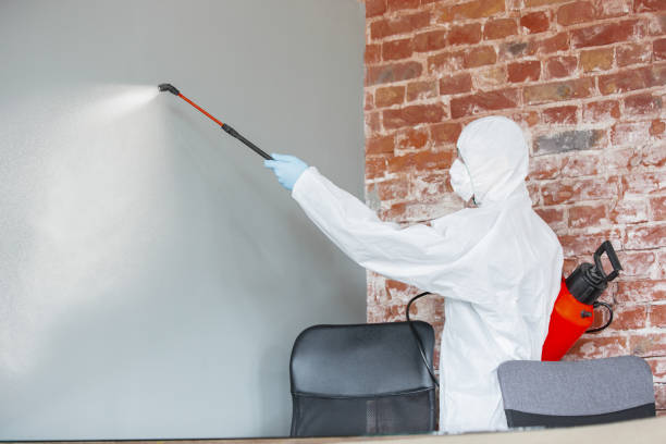 Best Airborne Mold Testing  in Owings, MD