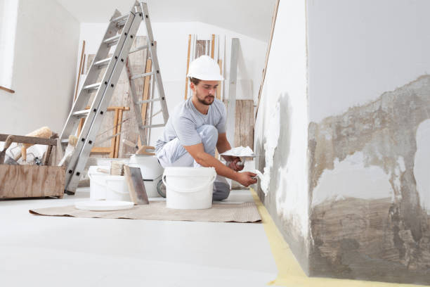 Best Mold Remediation for Healthcare Facilities  in Owings, MD