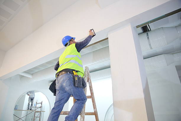 Best Comprehensive Air Testing for Mold Contaminants  in Owings, MD