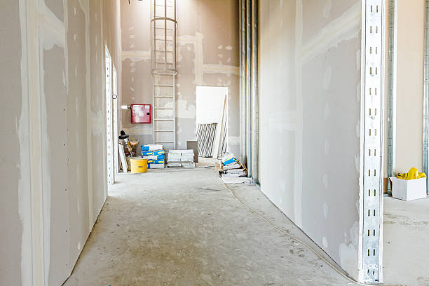 Asbestos and Lead Testing During Mold Inspection in Owings, MD